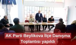 AK Parti Beylikova İlçe Danışma Toplantısı yapıldı