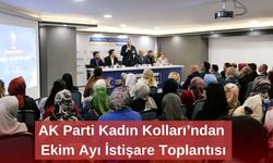 AK Parti Kadın Kolları’ndan Ekim Ayı İstişare Toplantısı
