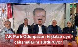 AK Parti Odunpazarı teşkilatı üye çalışmalarını sürdürüyor