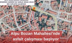 Alpu Bozan Mahallesi’nde asfalt çalışması başlıyor