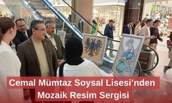 Cemal Mümtaz Soysal Lisesi’nden Mozaik Resim Sergisi