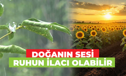 Doğanın Sesi Ruhun İlacı Olabilir