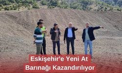 Eskişehir’e Yeni At Barınağı Kazandırılıyor