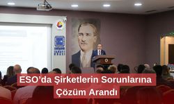 ESO’da Şirketlerin Sorunlarına Çözüm Arandı