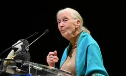 Jane Goodall'ın 91 yaşında hayatını kaybetti