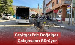 Seyitgazi’de Doğalgaz Çalışmaları Sürüyor