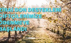 Eskişehir’de zirai donun yaraları sarılıyor