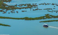 Doğa ve lezzet tutkunları bu turları çok sevecek