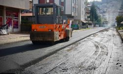 ASFALTLAMA ÇALIŞMASI ŞEHİR GENELİNE YAYILIYOR