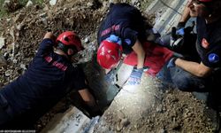 Mazgala düşen kayıp köpek ve yangında mahsur kalan kediler itfaiyenin çabasıyla kurtarıldı