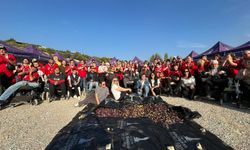 Engelli yurttaşlar ve yakınları zeytin hasadında buluştu