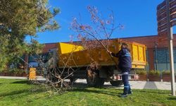 Darıca Millet Bahçesi’nde temizlik seferberliği
