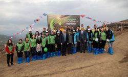 Karamürsel’de yanan bölge 3 bin fidanla yeniden yeşerecek