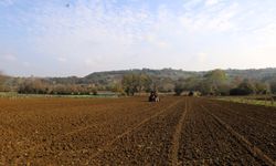 Büyükşehir’in hibeli tohumları toprakla buluştu