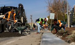 Karacadağ Caddesi modern bir görünüme kavuşuyor