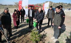 Sivrihisar'da fidanlar toprakla buluştu