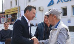 Muğla’da Yaş Almış Çınarlara Yeni Bir Yuva