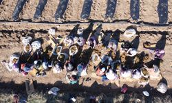 400 dönümlük çilek projesi bölge ekonomisine can verecek