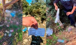 Çevreyi kirleten firmalara ceza yağdı