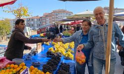 Mandalinanın fiyatı geçen seneye göre yüzde 30 düştü