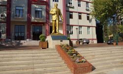 Alkollü sürücü görüntülerine valilikten açıklama