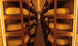 Kars Peynir Müzesi yoğun ilgi görüyor