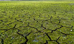 Mega kentte kuraklığın izleri havadan görüntülendi