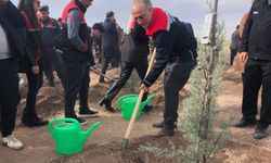 11 Kasım Milli Ağaçlandırma Günü'nde 20 bin fidan dikildi