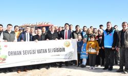 Beylikova'da 5 bin fidan toprakla buluştu