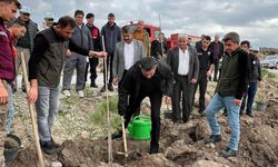 800 fidan toprakla buluşturuldu