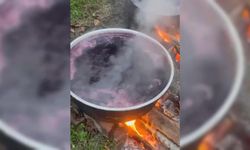 Köylerde kazanlar kaynıyor: Kışlık pekmez mesaisi