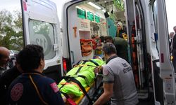 Mantar toplarken ayı saldırısına uğradı