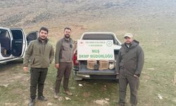 Kafes avcılığı yapan şahıs suçüstü yakalandı