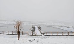 Kış mevsiminin ilk kar yağışı