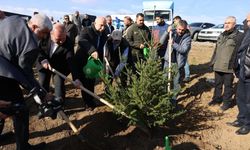 Gazze için 10 bin fidan dikildi