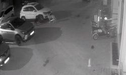 Sokak köpekleri park halindeki aracı parçaladı