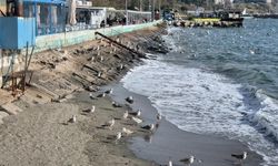 Lodos fırtınası balıkçıları limana döndürdü