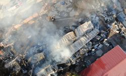 İzmir'deki yangında 5 konteyner ve 2 araç kül oldu