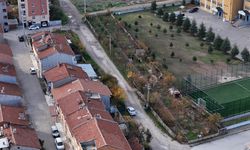 Çöplüğü 15 Temmuz Şehitleri Fidanlığı'na çevirdi