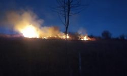 Ordu'da fındık bahçesinde yangın