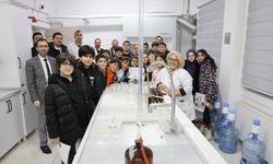 Öğrenciler laboratuvarda süreçleri yerinde gözlemledi