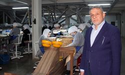 Fındık fiyatları, ihracat, döviz kuru ve hava şartlarına bağlı