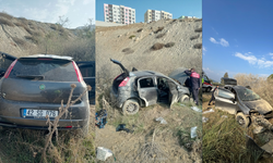 Kontrolden çıkan otomobil, yol kenarına savruldu