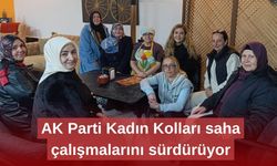 AK Parti Kadın Kolları saha çalışmalarını sürdürüyor
