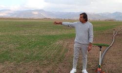 Mera ıslahı çiftçiye umut oldu