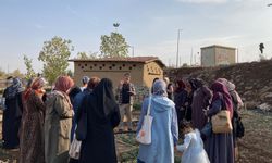 Kadınlar tıbbi ve aromatik bitkileri yerinde tanıyor