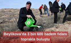 Beylikova’da 3 bin 600 badem fidanı toprakla buluştu