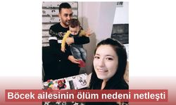 Böcek ailesinin ölüm nedeni netleşti