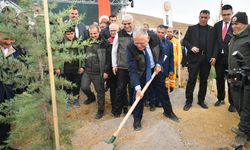 Büyükşehir'den Şehrin 'Yeşil’ine 155 Milyon TL’nin Üzerinde Yatırım