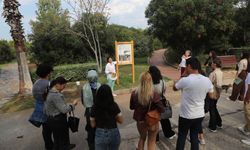 Yeşil bayraklı parkta çevre ve çocuk hakları eğitimi